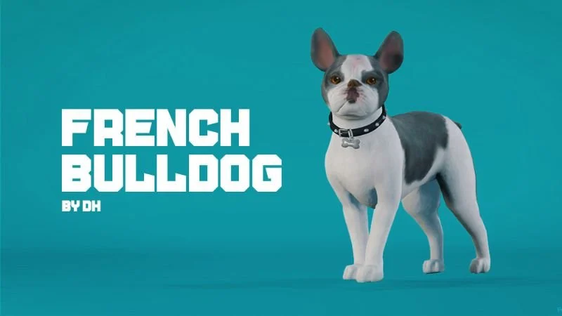 French Bulldog