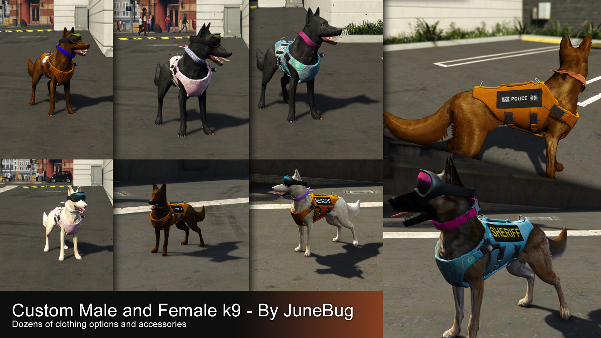 Male and Female K9 - Accessories and clothing